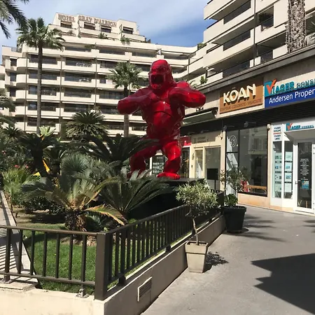 Gray D' Albion * Cannes